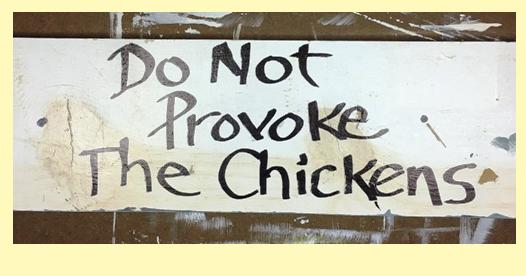 sign do not provoke the chickens 2